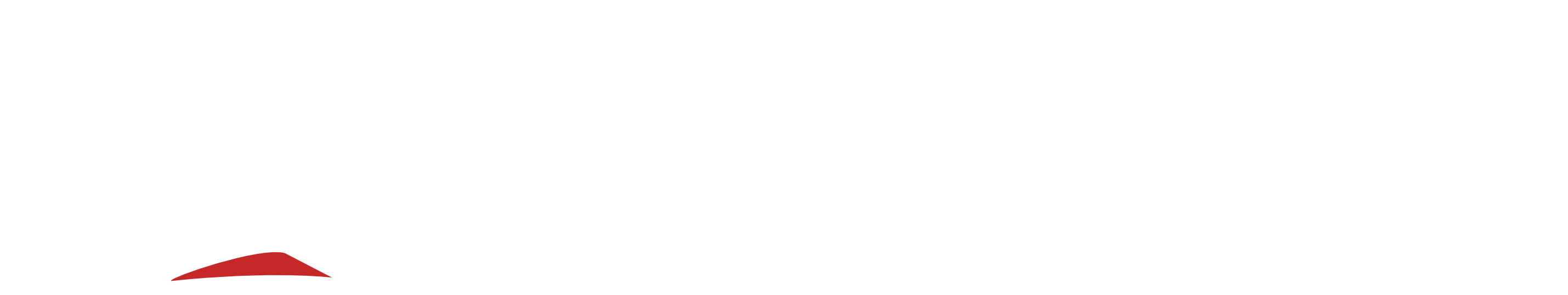 Pergamon Sigorta Logo